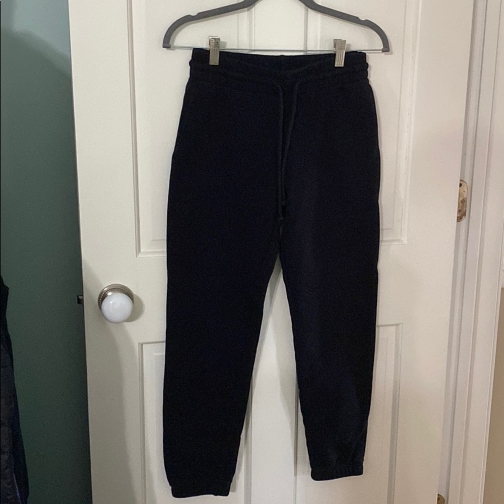 Tna Aritzia sweatpants